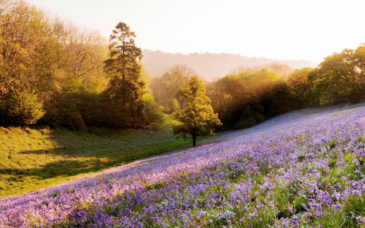 531296 (a): :2560x1600